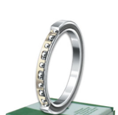 INA CSEG080 bearings